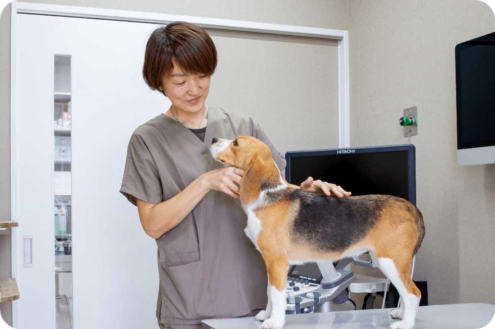 犬の診察風景